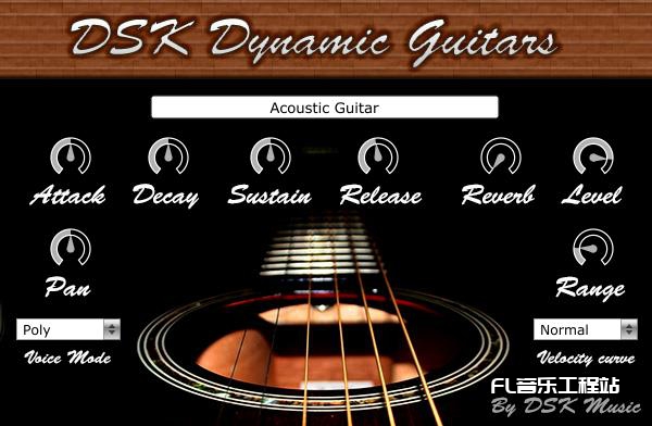 DSK Dynamic Guitars